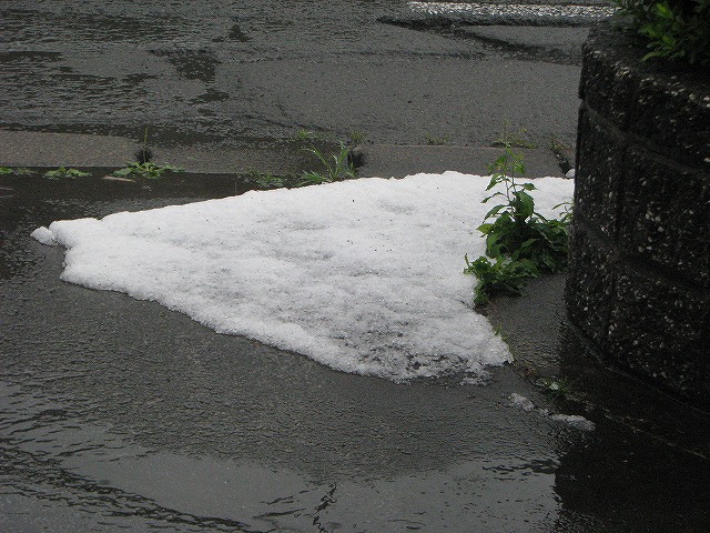 ◆ 一昨日は・・・ ◆_c0078202_1025117.jpg
