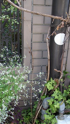 a0123003_94564.jpg