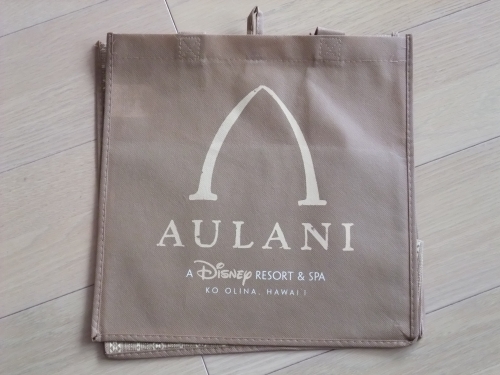 2012.7 Hawaii　「Aulani  Disney Resort & Spa in Hawaii　②」_f0223803_1942988.jpg