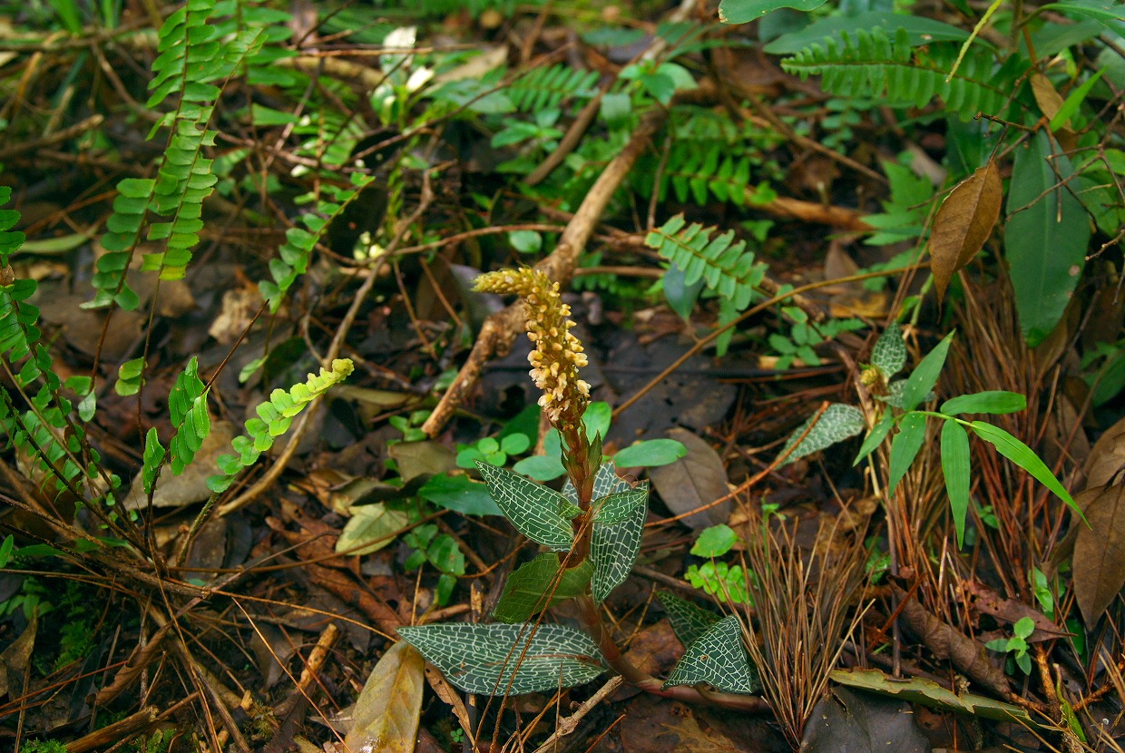 b0174905_64248.jpg