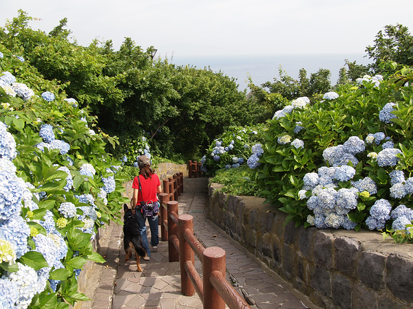 東北湯巡りキャンプ旅１３（階段国道）_f0180607_249314.jpg