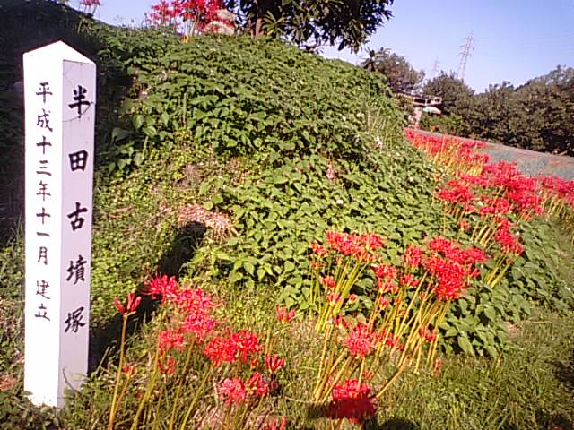 f0231709_16124498.jpg