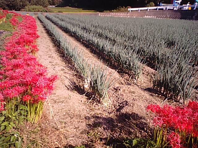 f0231709_16283626.jpg