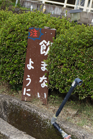 f0054610_23333182.jpg