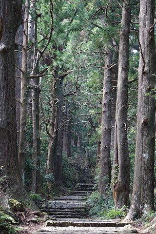 f0054610_2343361.jpg