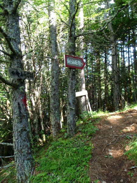c0177814_1831211.jpg