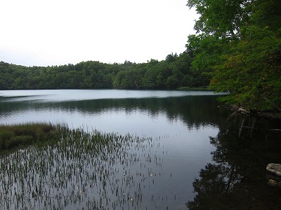 e0224118_20515331.jpg