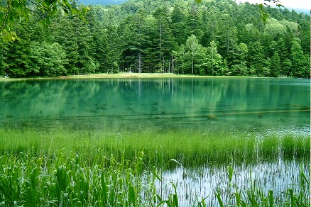 e0224118_2121847.jpg