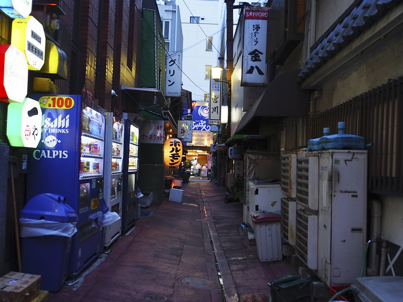 八重洲の居酒屋街 銅の匙 記憶の旅 八重洲の居酒屋街 銅の匙 記憶の旅