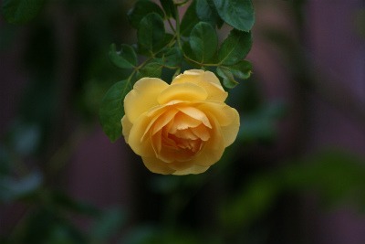 f0170524_15431941.jpg