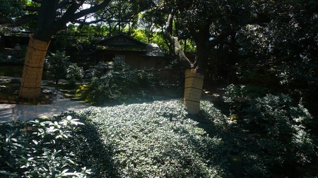 a0187426_20121245.jpg