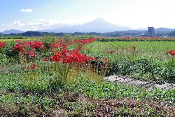 f0007926_1144106.jpg