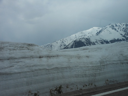 a0202528_97511.jpg
