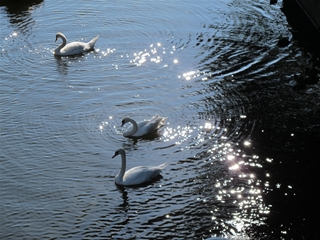 f0224632_20264080.jpg