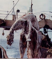 c0035233_2354434.jpg