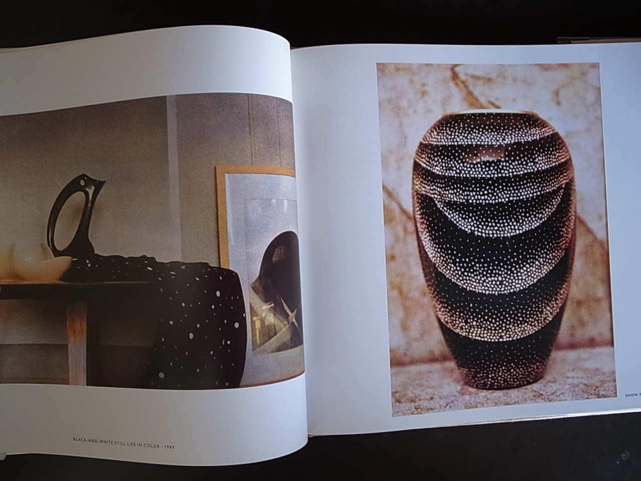 OBJECTS OF DESIRE / Sheila Metzner : Books & Things OBJECTS OF DESIRE / Sheila Metzner : Books & Things