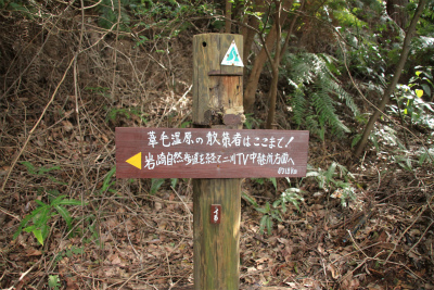 d0055236_02162.jpg