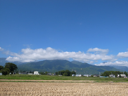 a0014840_135990.jpg