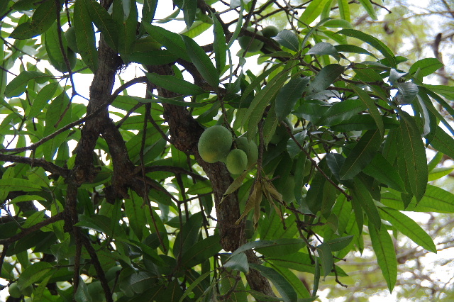 c0011649_035965.jpg