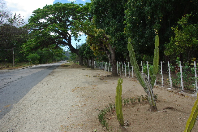 c0011649_072868.jpg