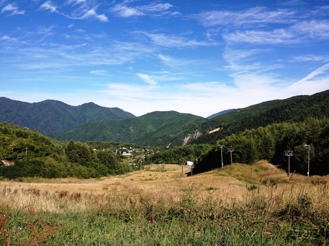 e0248949_20066.jpg