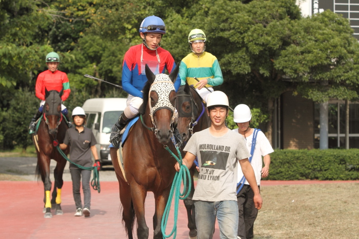 中西達也騎手、地方競馬通算2200勝達成～_a0077663_75101.jpg