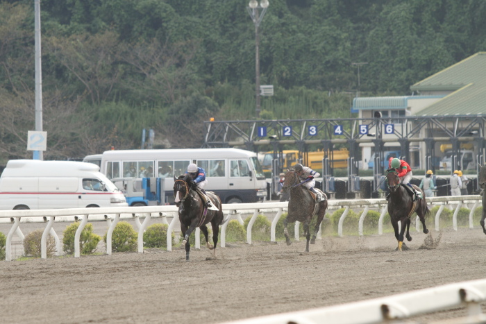 中西達也騎手、地方競馬通算2200勝達成～_a0077663_7512713.jpg