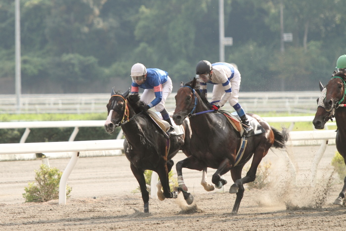 中西達也騎手、地方競馬通算2200勝達成～_a0077663_751971.jpg