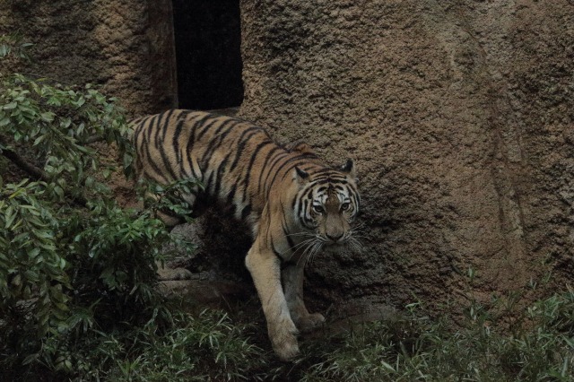 a0188771_23243039.jpg