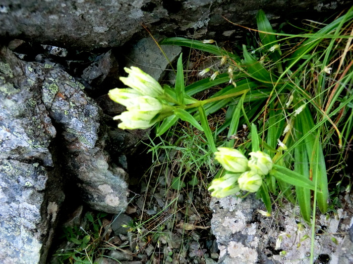 b0185573_973878.jpg
