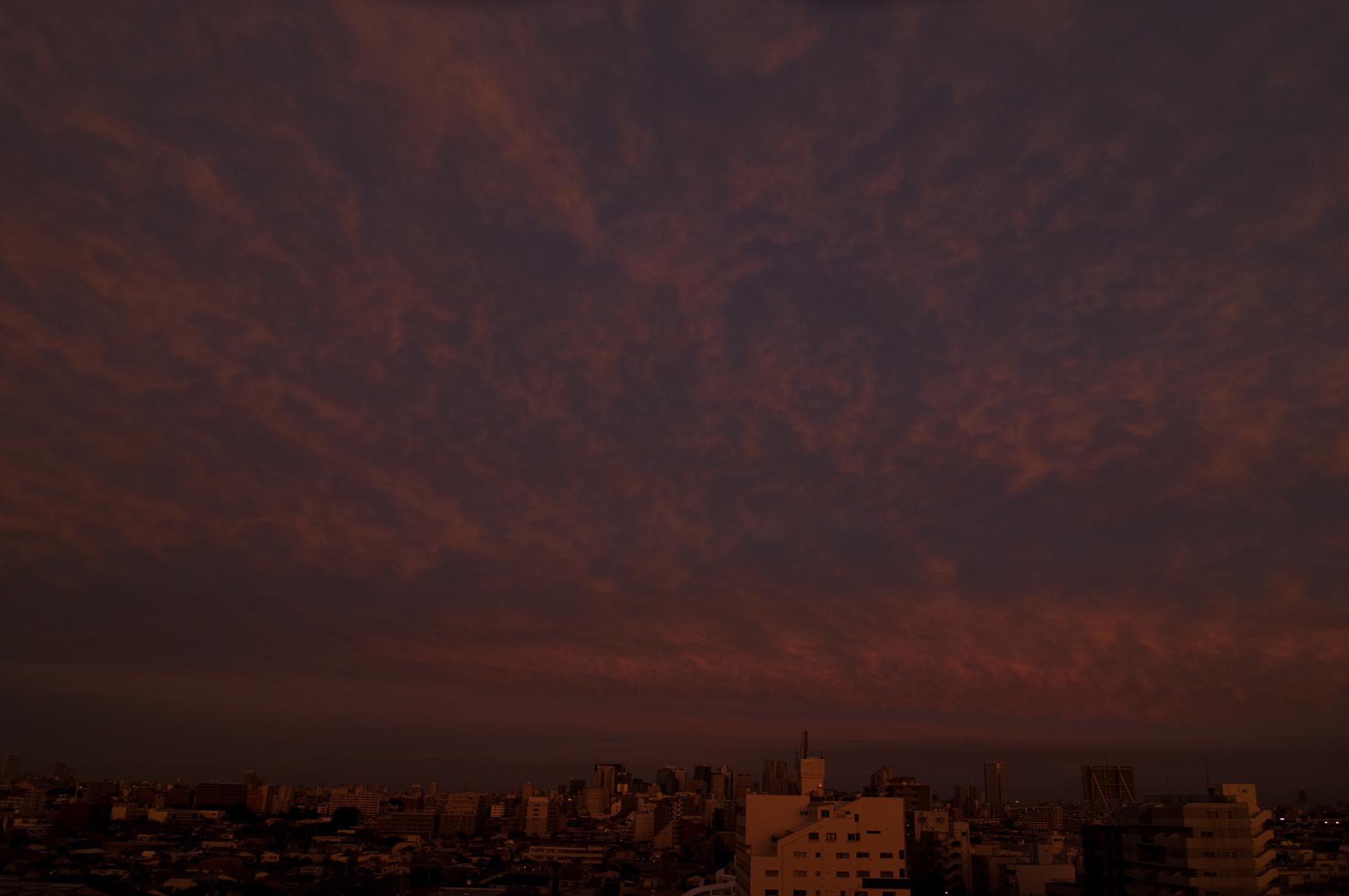 e0163776_1912427.jpg