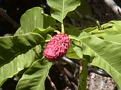 f0083977_8125519.jpg