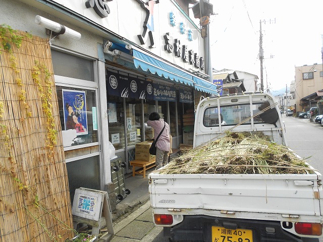 9月27日７：３０街頭進出、犬散歩、志村米店で藁貰う、坂本町長、社協_d0143678_222484.jpg