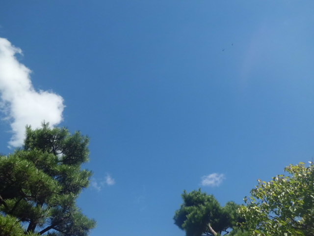 c0223879_11464354.jpg