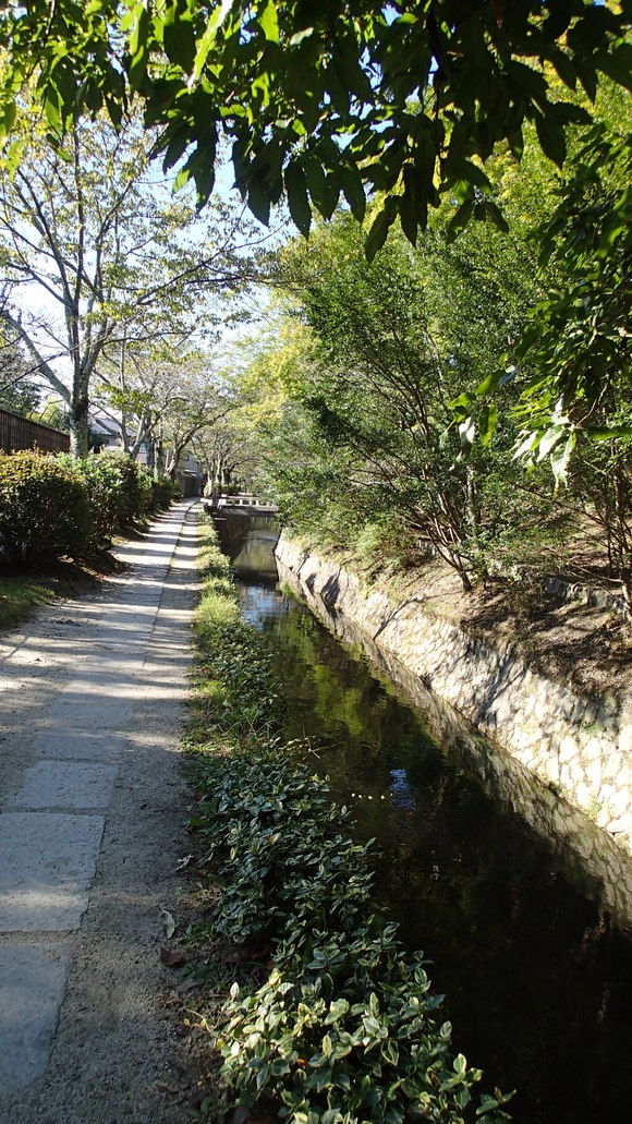 e0024081_22544.jpg