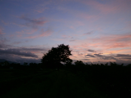 夕暮れの風景_d0000995_20203746.jpg