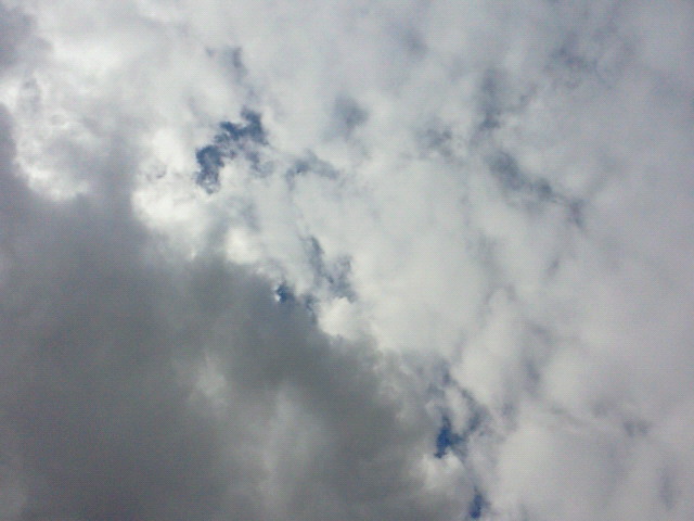 曇りのち雨のち晴れ_c0140599_11112083.jpg