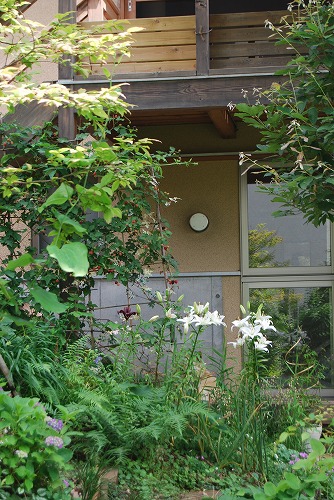 6月の庭…_c0124100_14502347.jpg