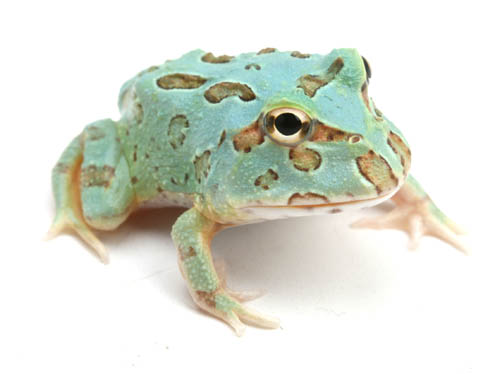 c0165803_20464250.jpg