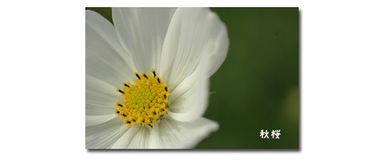 元気でいられる事に感謝!_c0051105_2305291.jpg