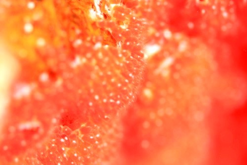 f0177305_23492238.jpg
