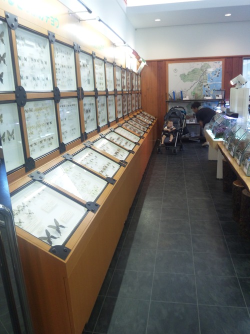 e0208214_15241614.jpg