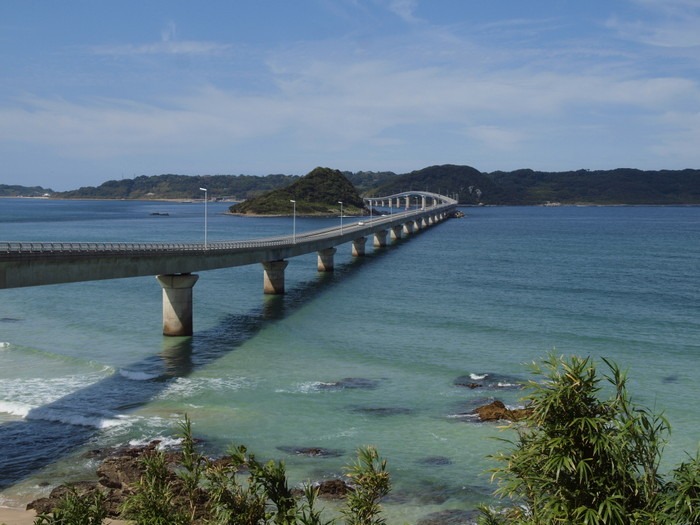 植物友の会の野外観察(山口県下関市豊北町 角島)その2_c0116915_0443560.jpg