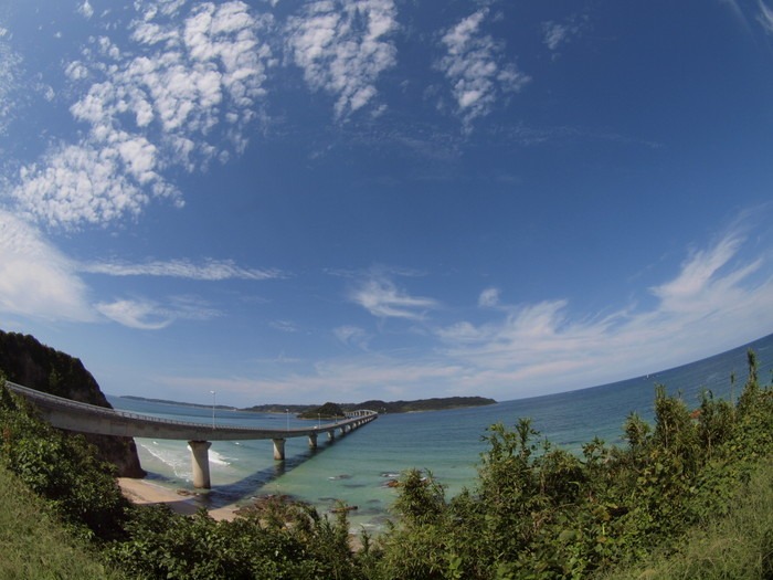 植物友の会の野外観察(山口県下関市豊北町 角島)その2_c0116915_04633.jpg