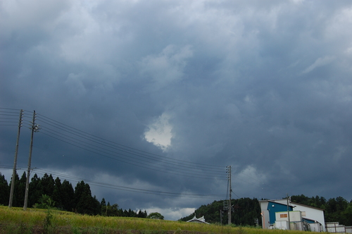 d0099515_5343553.jpg