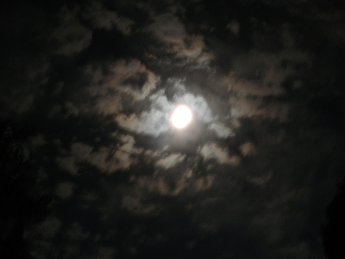 a0125419_25530.jpg