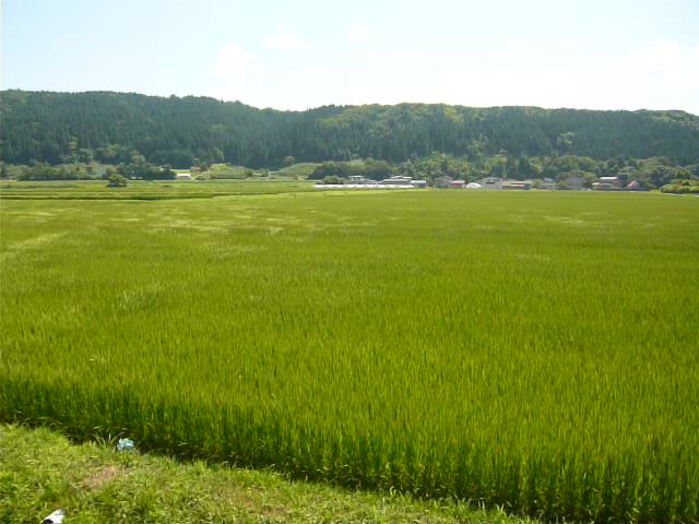 e0218019_14941.jpg