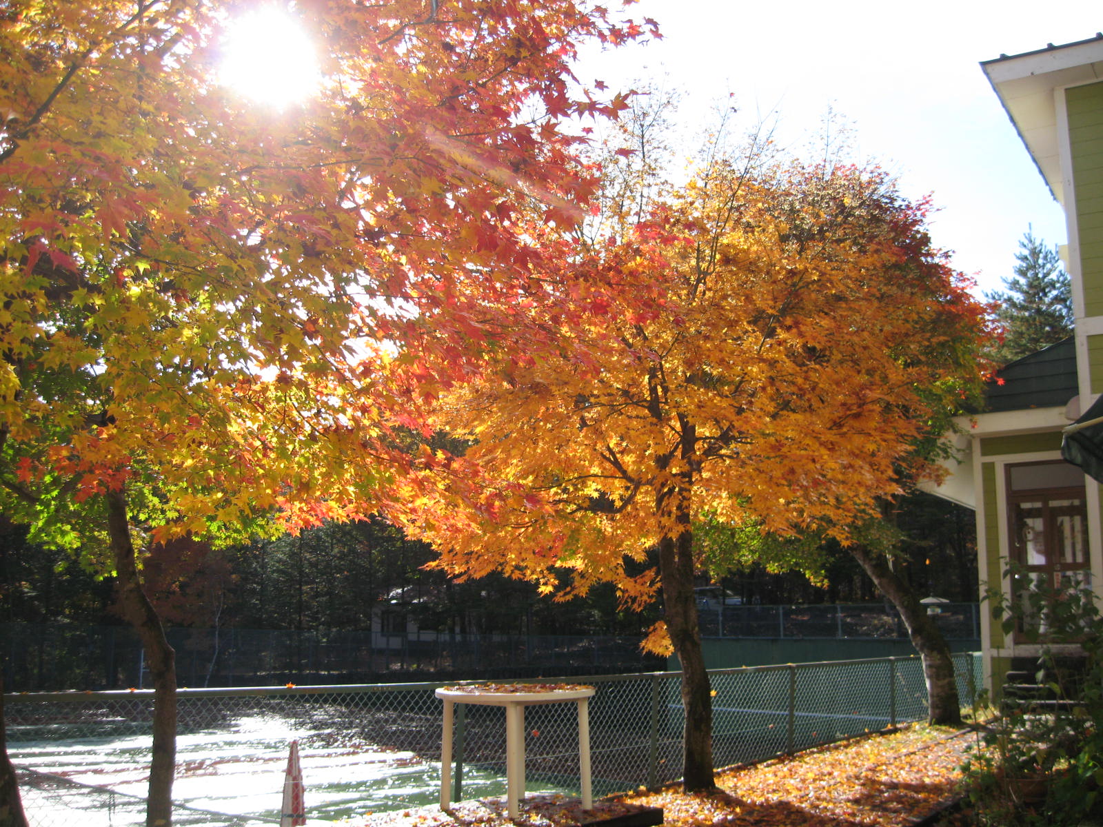 軽井沢_f0146620_2351158.jpg