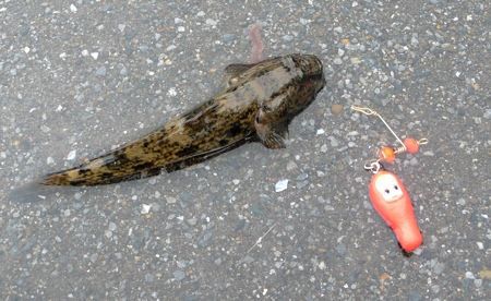５年目のハゼ釣り : 片手にピストル 心に花束