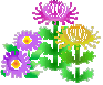 a0216142_12204697.gif